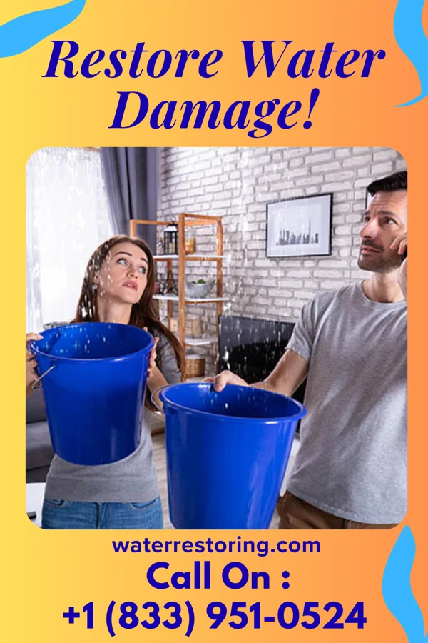 water restoration Rapid Flood Recovery Professionals Hurley